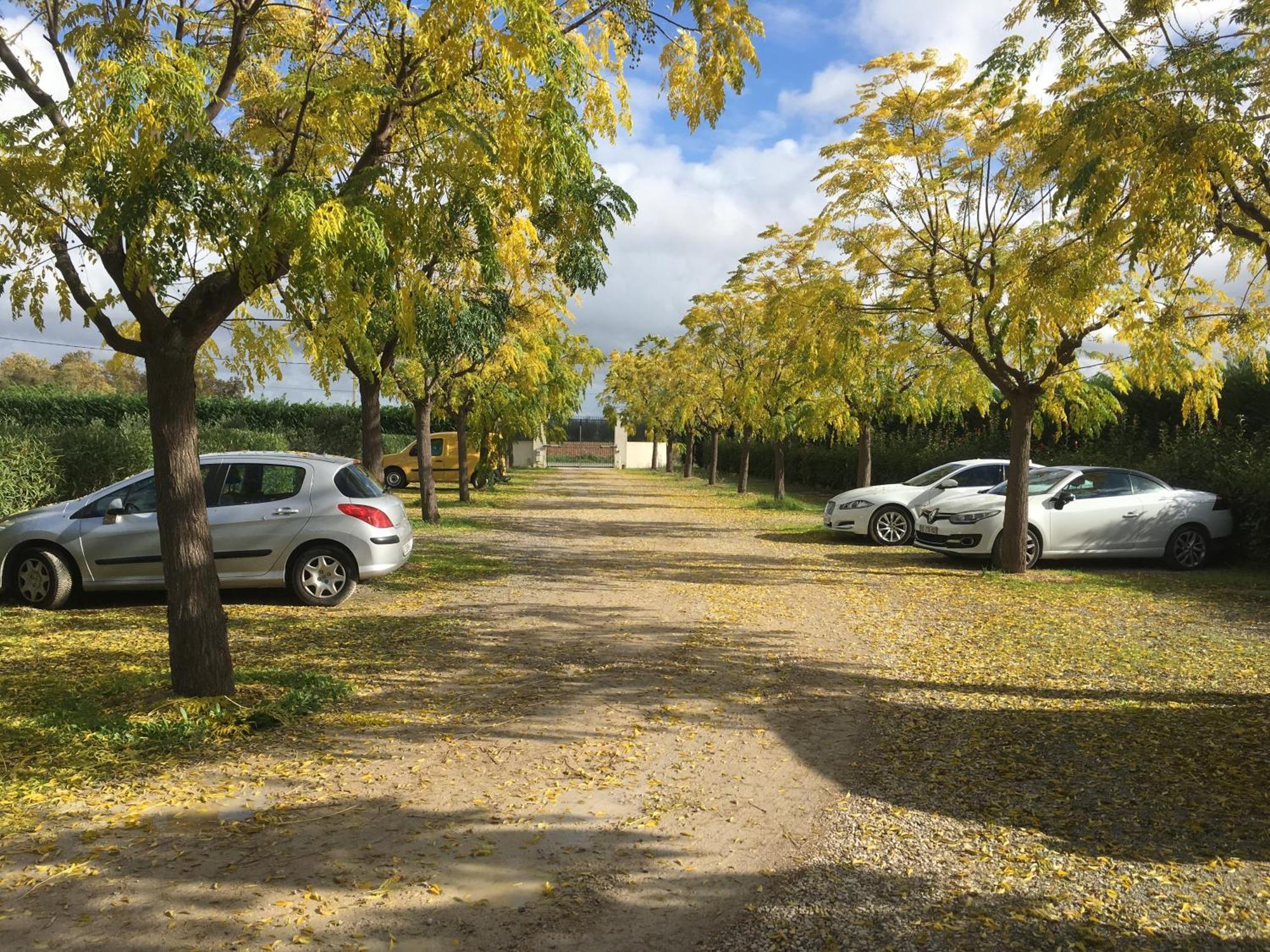 Chambres D'Hotes Avec Jacuzzi Et Piscine Au Mas De Cadoule Saint-Just  外观 照片